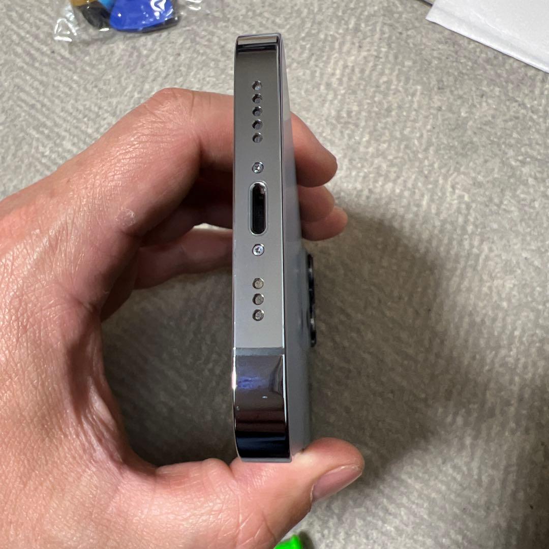 iPhone 13 Pro 256G本体画面不良