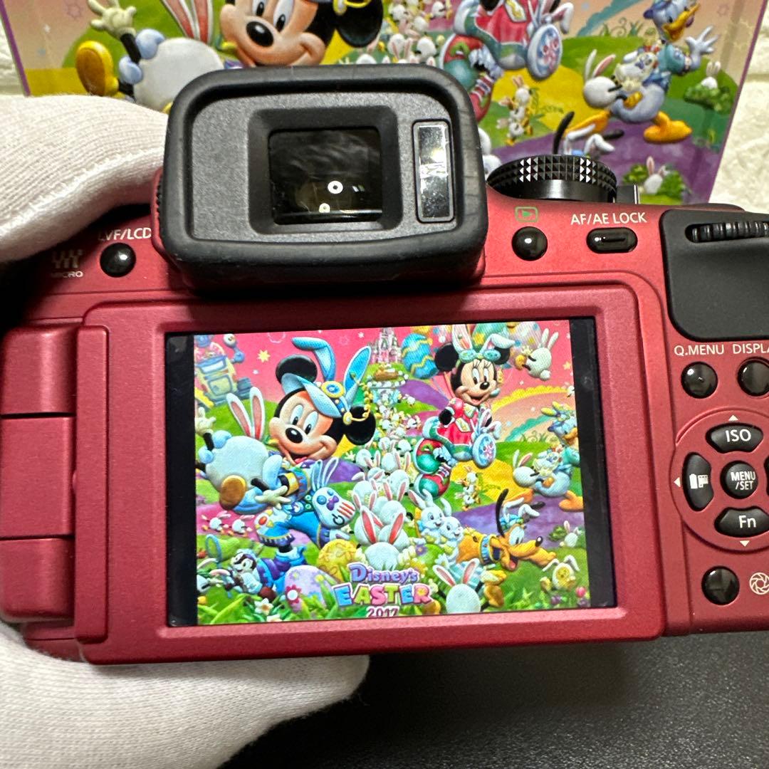 Panasonic LUMIX DMC-G2 レンズセット　動作確認済