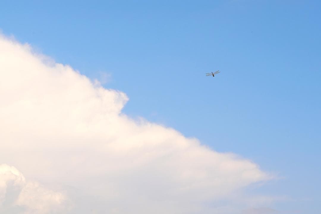 光学⚪︎ PENTAX TAKUMAR 105mm F2.4