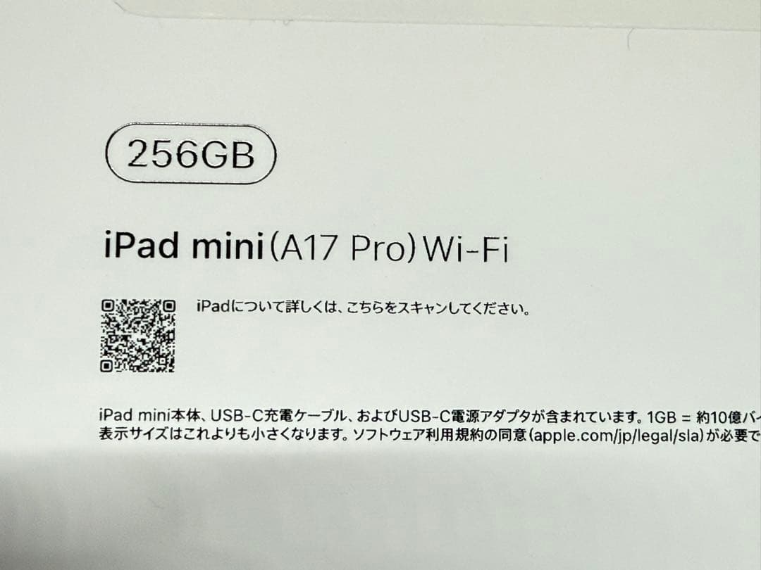 iPad mini 第7世代 256gb +α