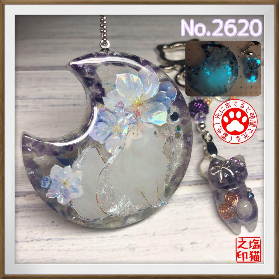 桔梗 サマ♡10点☆6/1