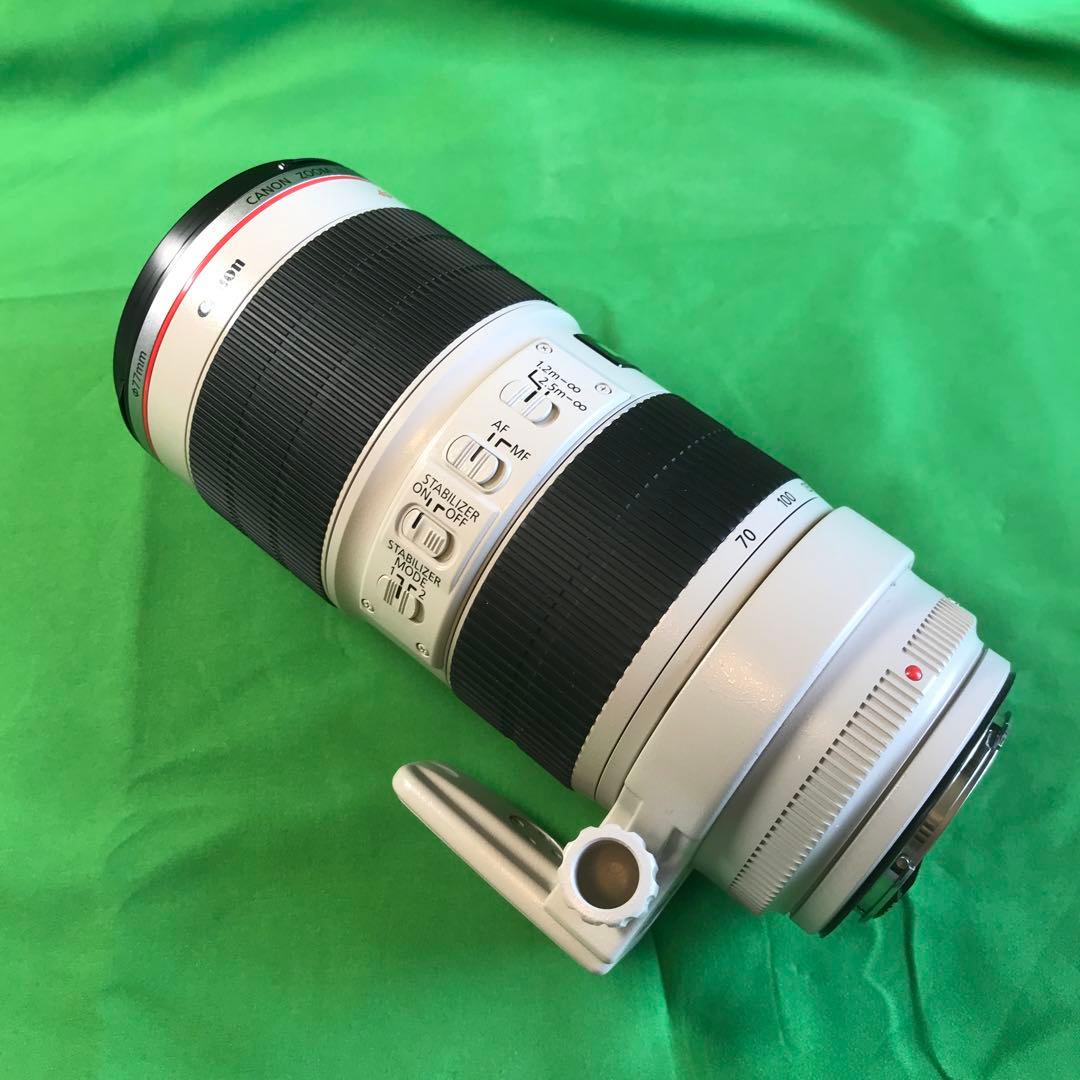 Canon EF70-200mm f/2.8L IS Ⅱ USM