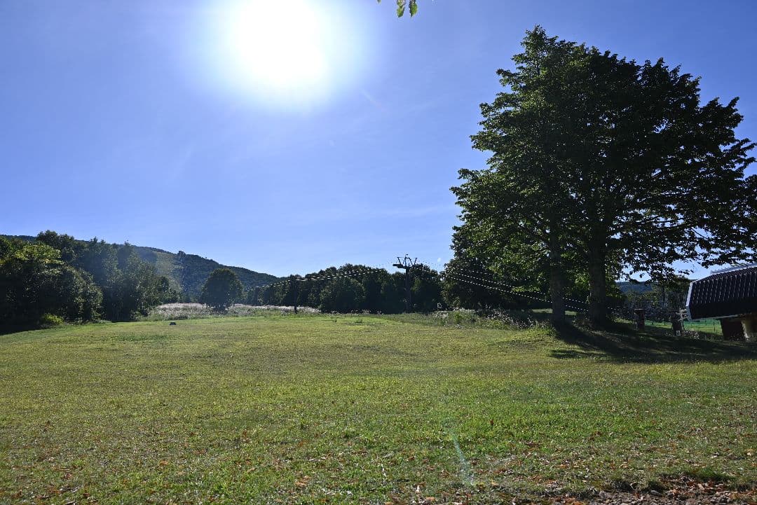 【Nikon Zマウント】NIKKOR Z 24-70mm f/4 S 美品