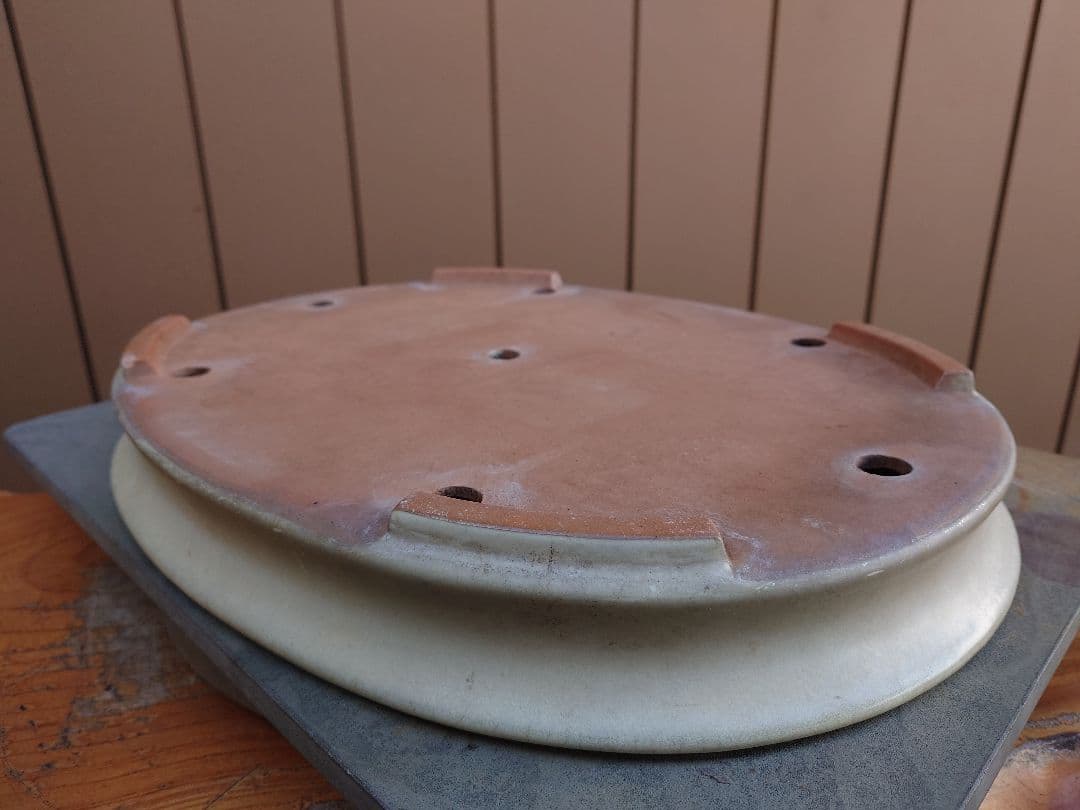 盆栽　鉢　山房　幅46.2cm