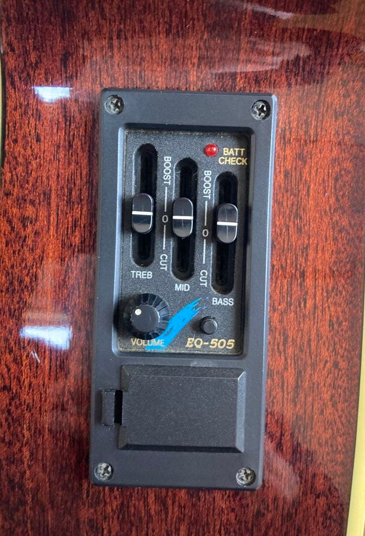 ARIA アリア FET-500 EBS　サンバースト　ソフトケース付き