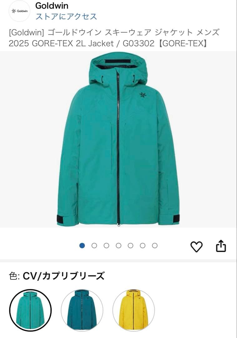 Goldwin スキーウェア cv(グリーン) gore-tex asiaXXL