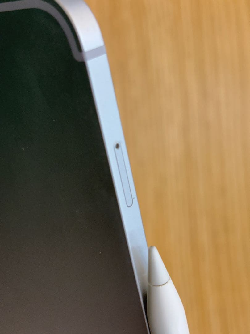 【ユ。】iPad Pro 12.9 256GB セルラー Pencil付