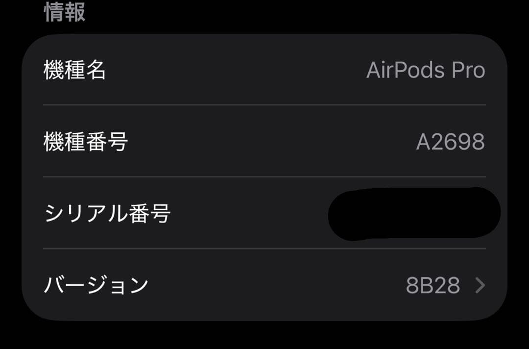 Apple AirPods Pro 第二世代 Lightning