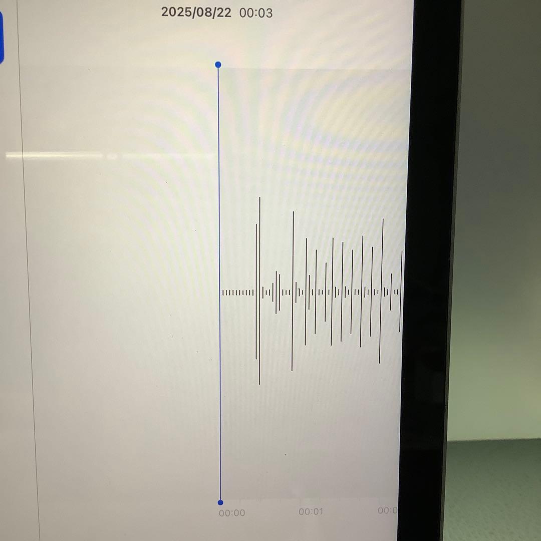 iPad第5世代128G wifi Gray バッテリー新品100%Gray