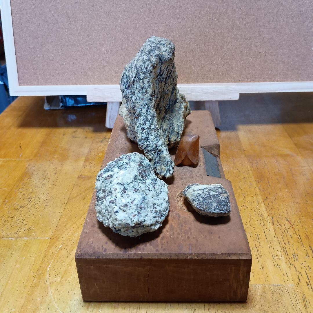 南極の石 教育用見本(廃校になった小学校から頂いたものです)非売品です