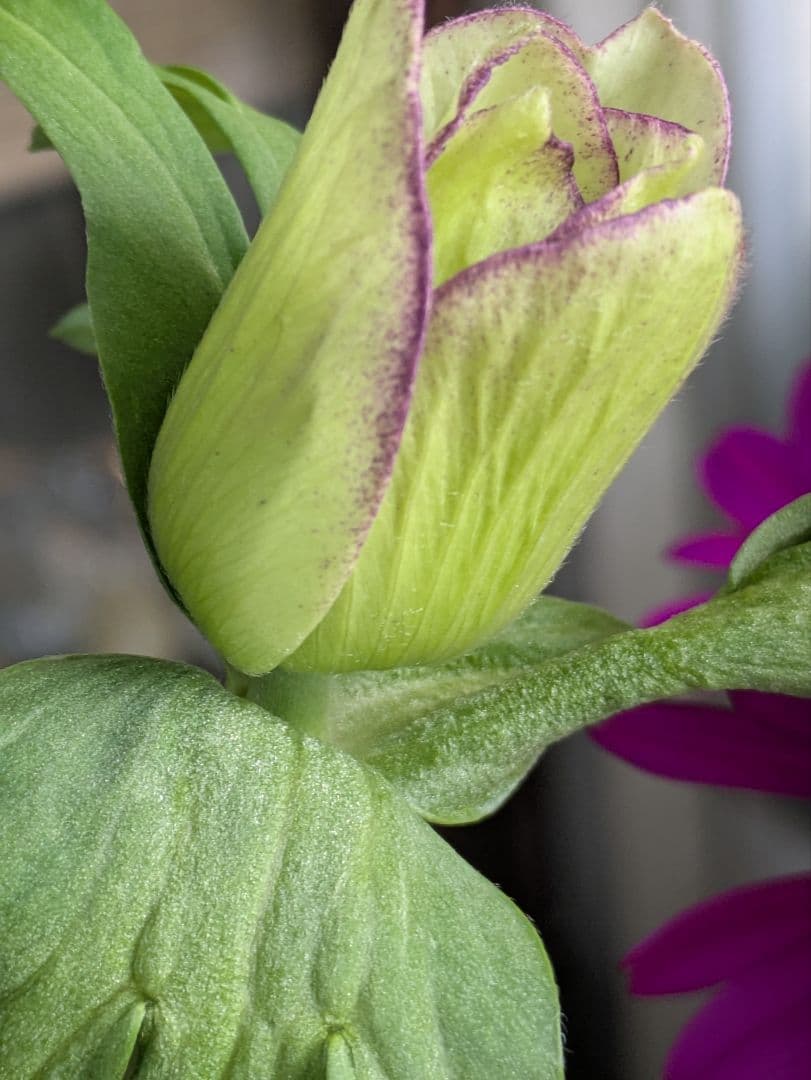 ♡みあり様♡13周年感謝価格✨✨