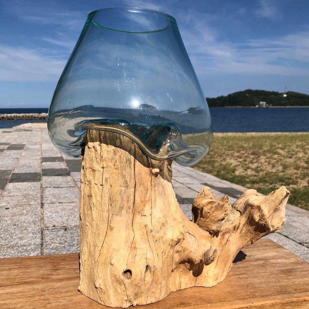 流木ガラス オブジェ特大V 花瓶 金魚鉢 ガーデニング テラリウム 観賞魚 容器