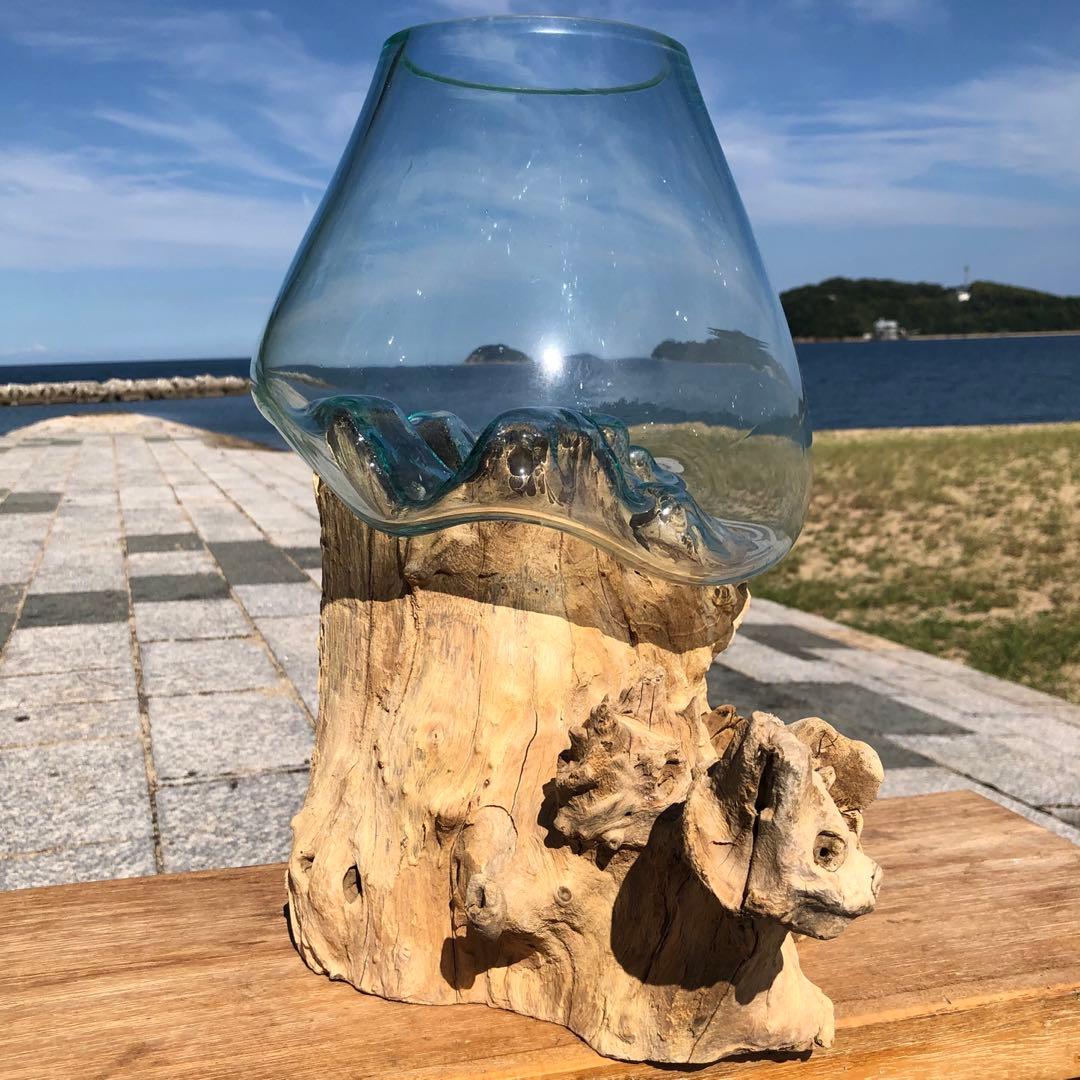 流木ガラス オブジェ特大V 花瓶 金魚鉢 ガーデニング テラリウム 観賞魚 容器