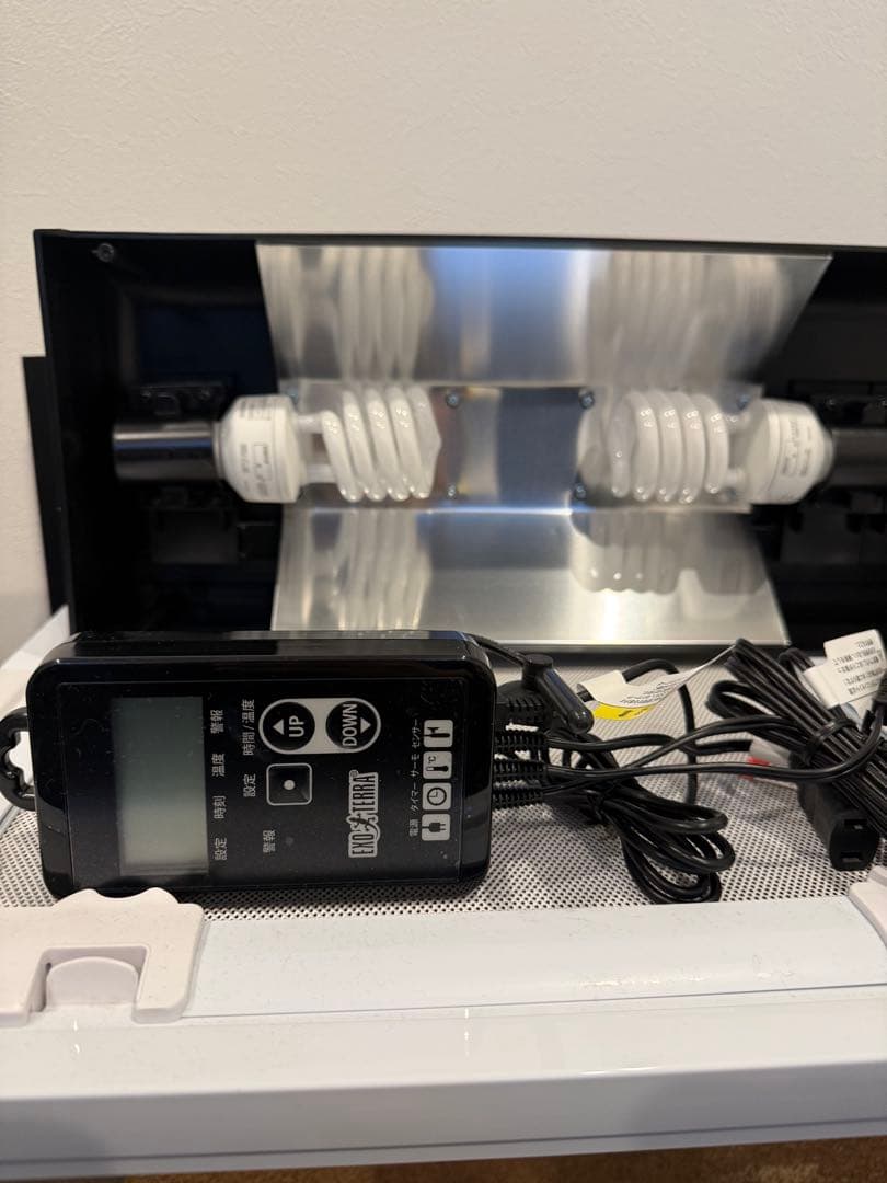 パンテオン　WH9045 【直接手渡し限定】