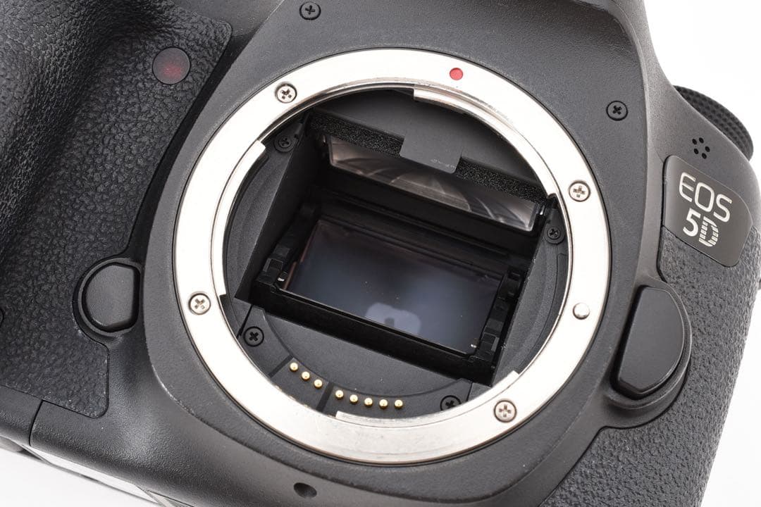 動作/高画質Canon EOS 5D MarkIII標準&望遠ダブルレンズセット