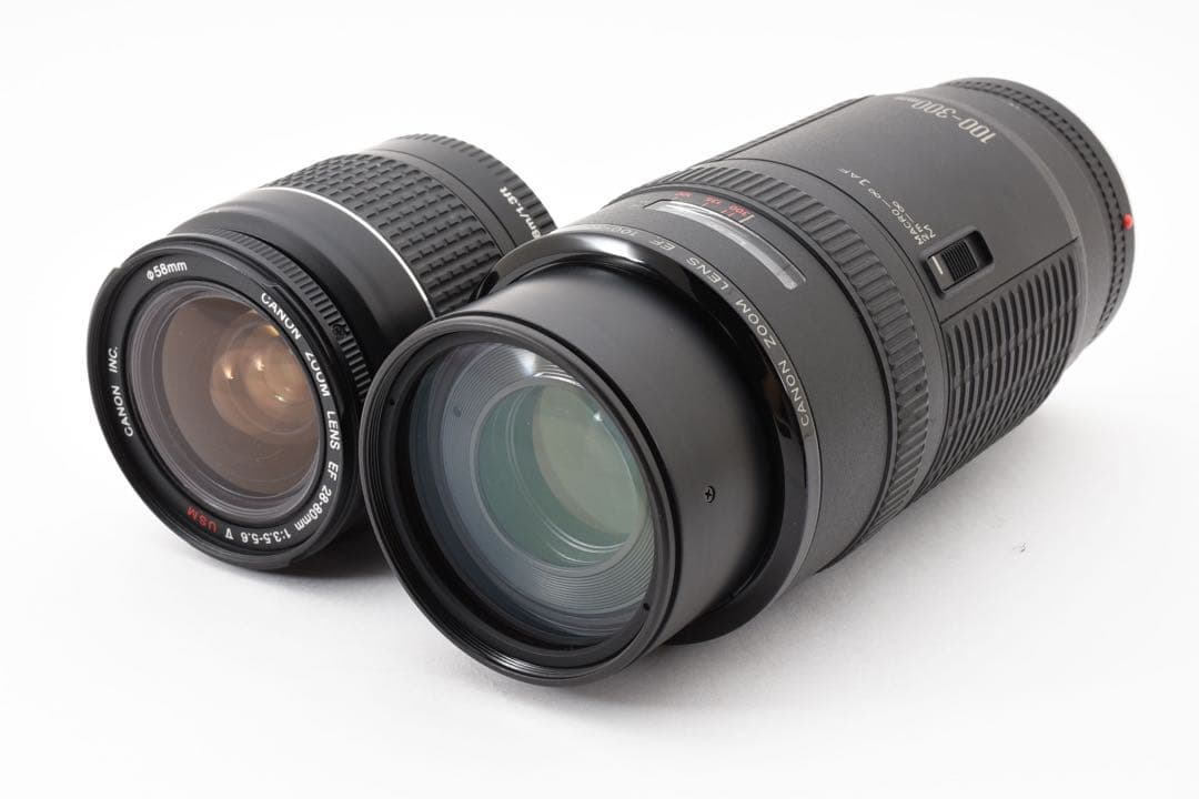 動作/高画質Canon EOS 5D MarkIII標準&望遠ダブルレンズセット