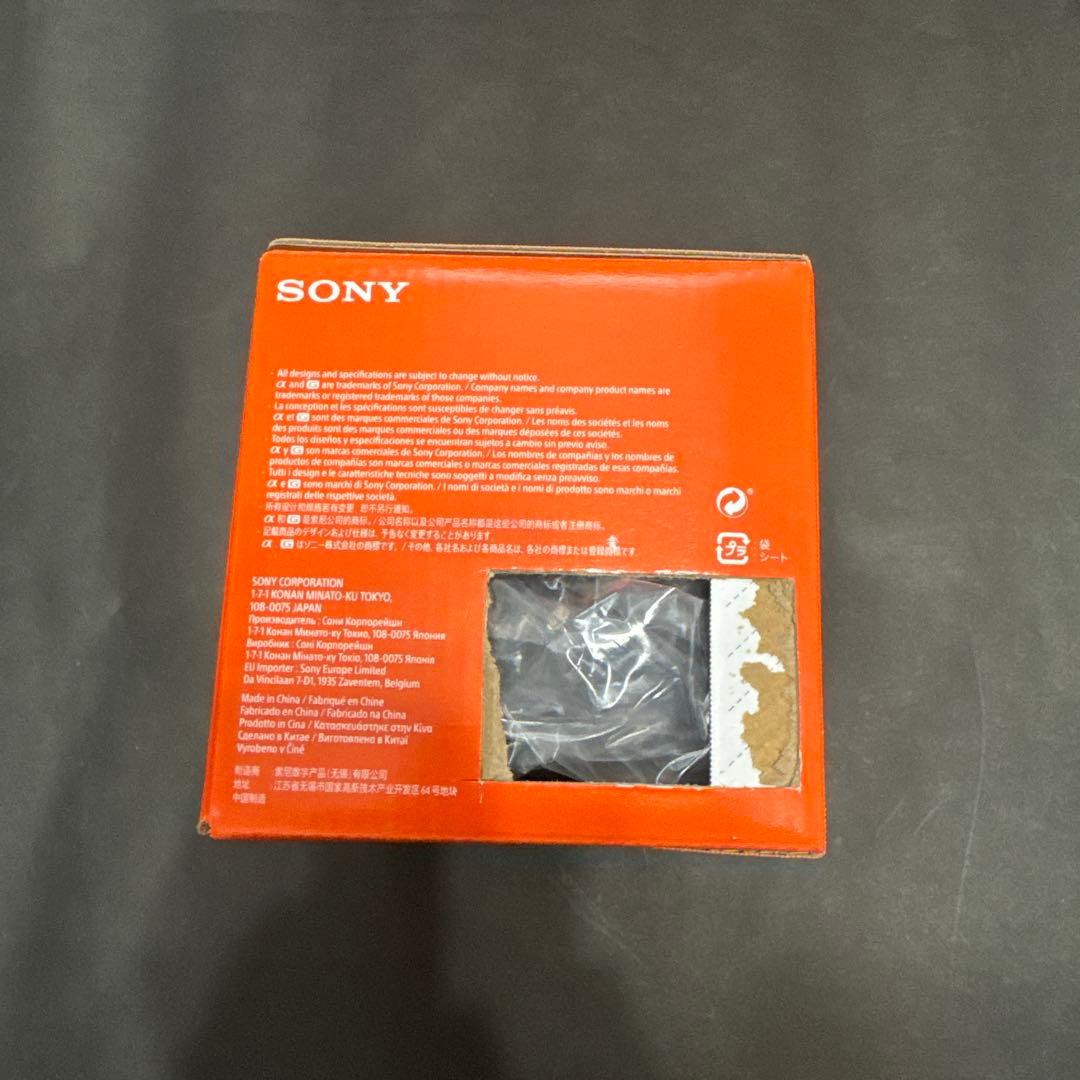 SEL24105G MCプロテクター付き