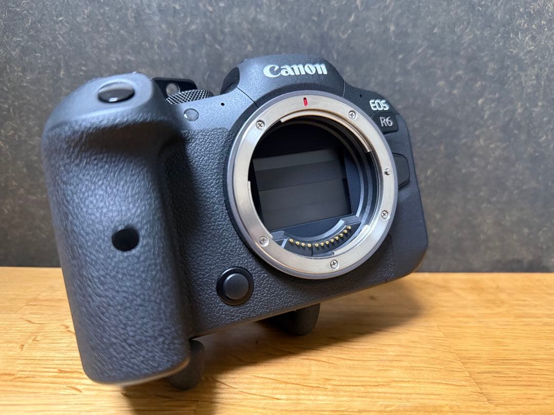 EOS R6レンズキット / RF24-105mm F4-7.1 IS STM