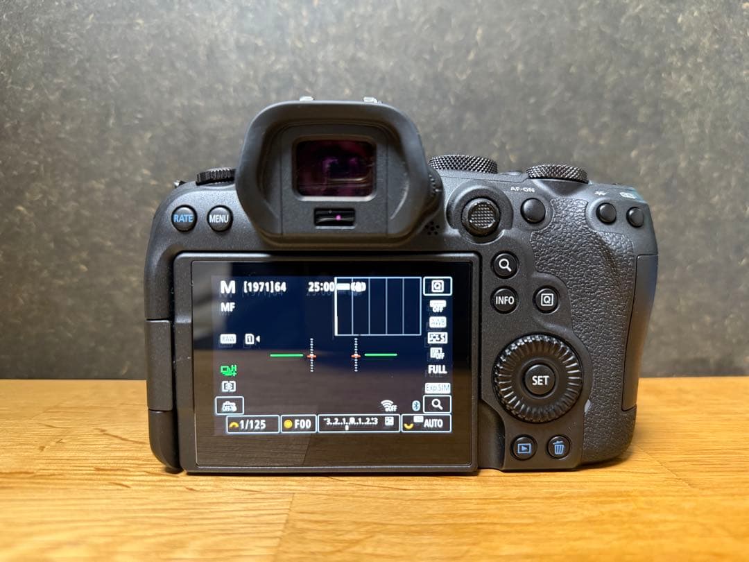 EOS R6レンズキット / RF24-105mm F4-7.1 IS STM