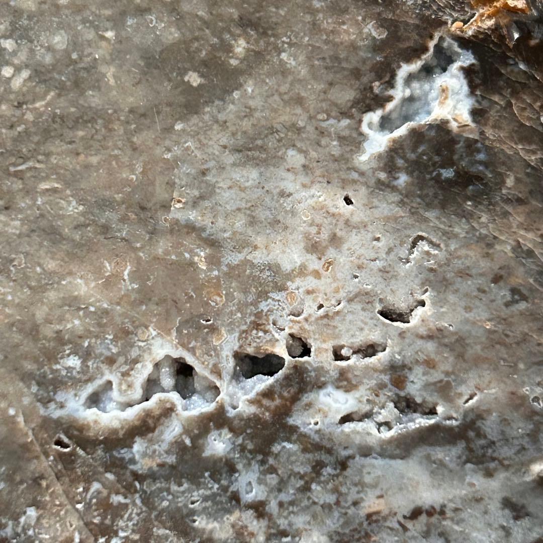 ⭐︎天然石　珪化木　スライス