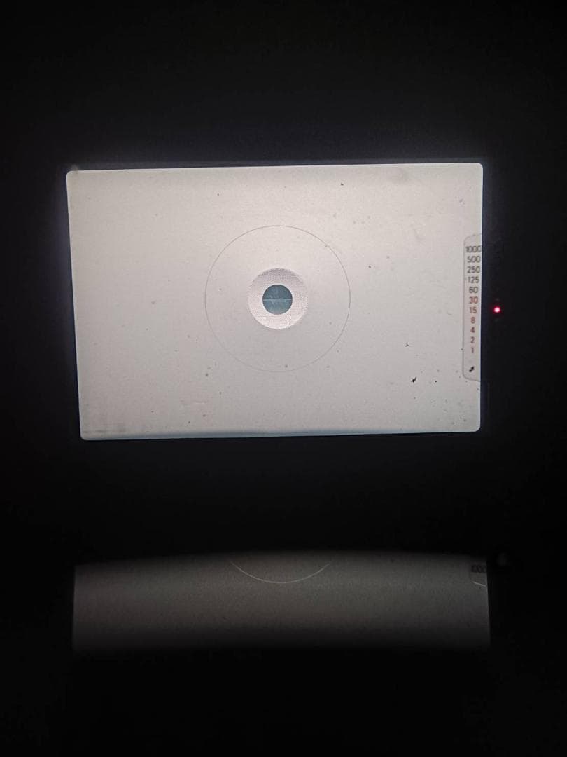 美品 NIKON FG シルバー フィルムカメラ　モルト新品交換済 N M558