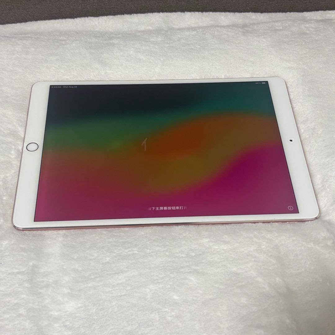 iPad Pro 10.5インチ(64GB、最大容量83%程度) セット