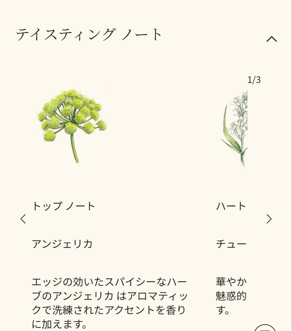 【半額】Jo Malone Tuberose Angelica コロン　50ml