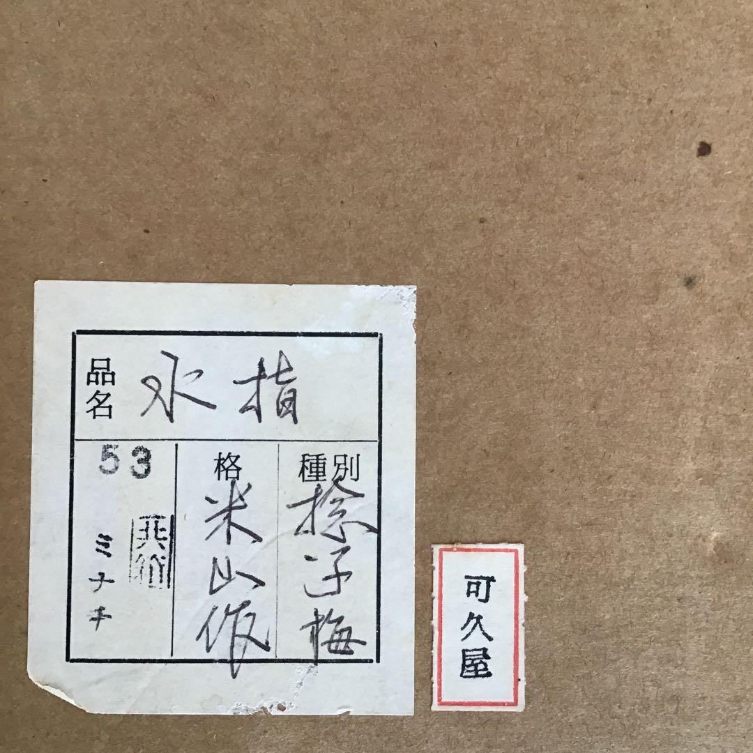 茶道具　水指　捻子梅水指(金属製)塗の蓋付　駒方米山作　共箱　紙箱　S246MS