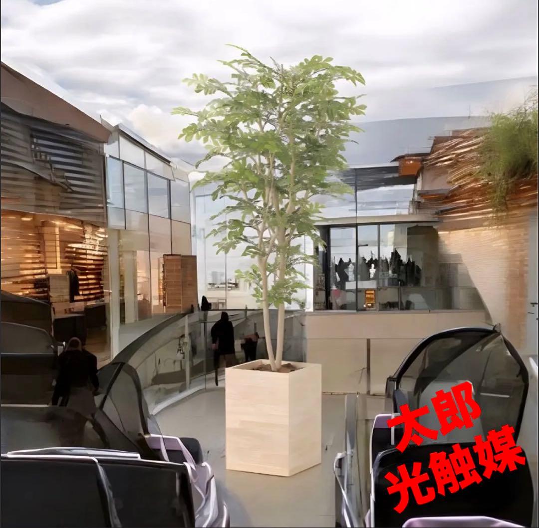 光触媒　人工観葉植物　フェイクグリーン　ウッドボックストネリコミックス1.8m