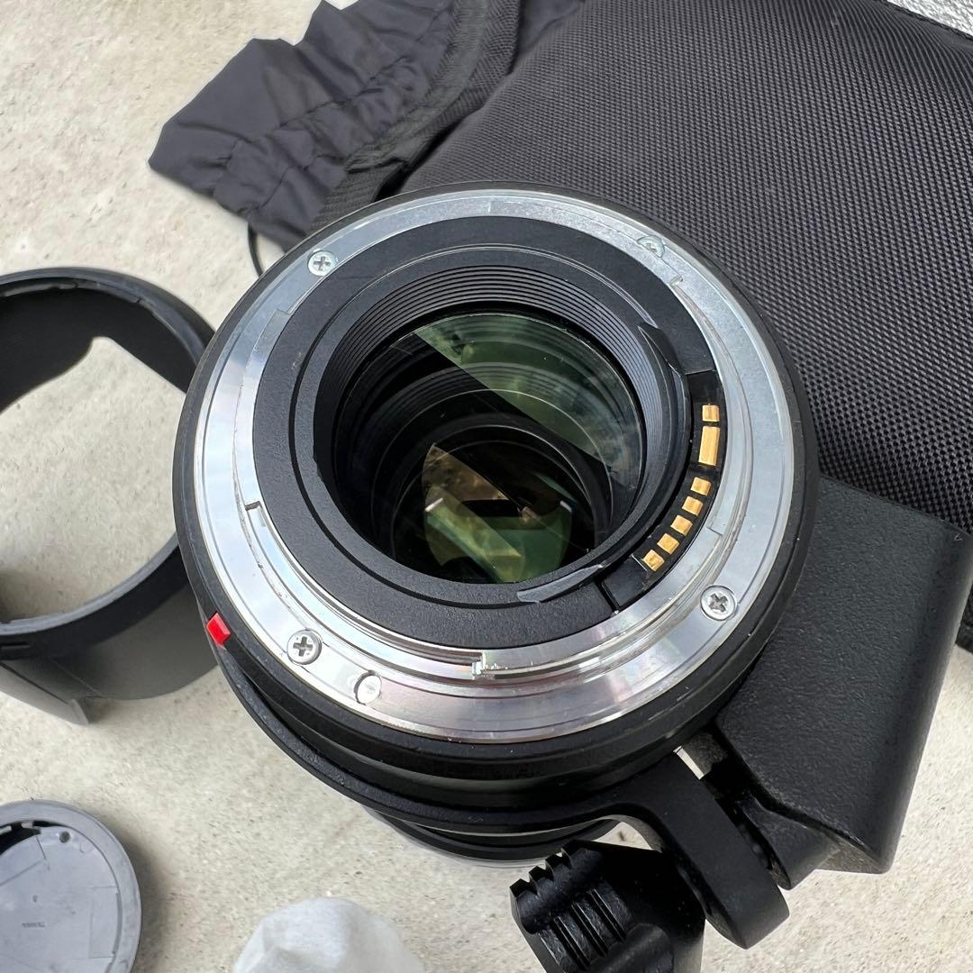 レンズ(ズーム) TAMRON SP AF70-200mm F/2.8 Di LD