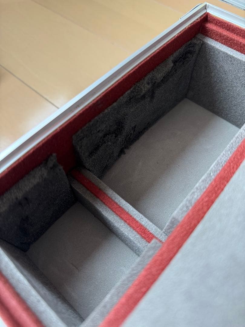 Nikon NIKKOR ED AF 300mm F2.8 望遠単焦点レンズ