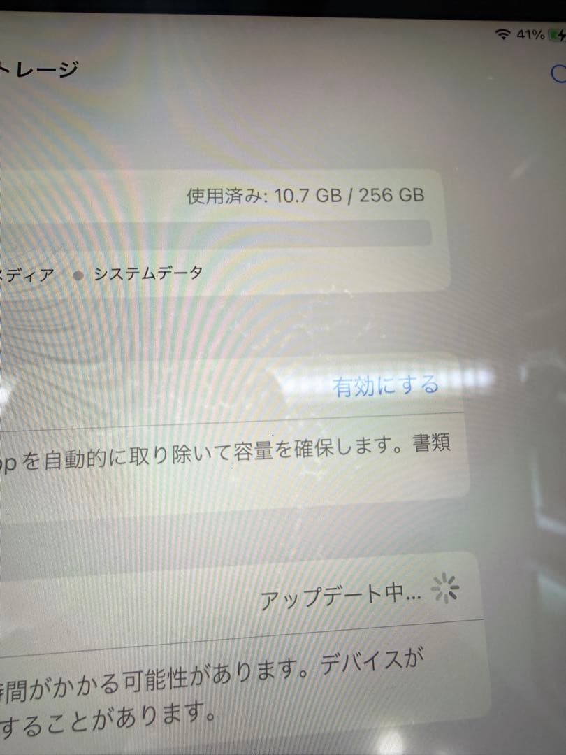 iPad pro 12.9インチ　第四世代　256GB ジャンク