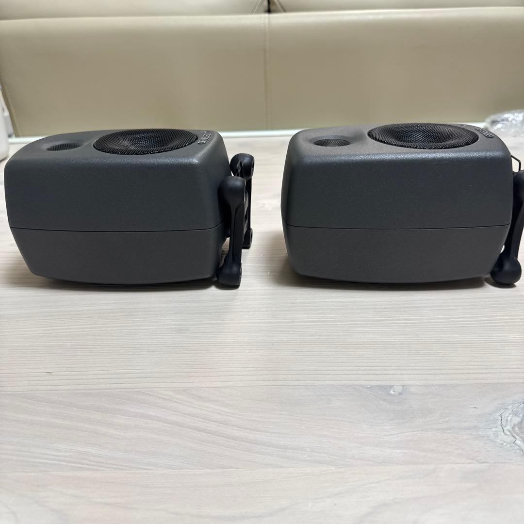 GENELEC 8010AP 2本セット