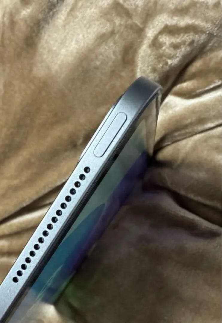 12.9インチ iPad Pro セルラー　512GB 第4世代