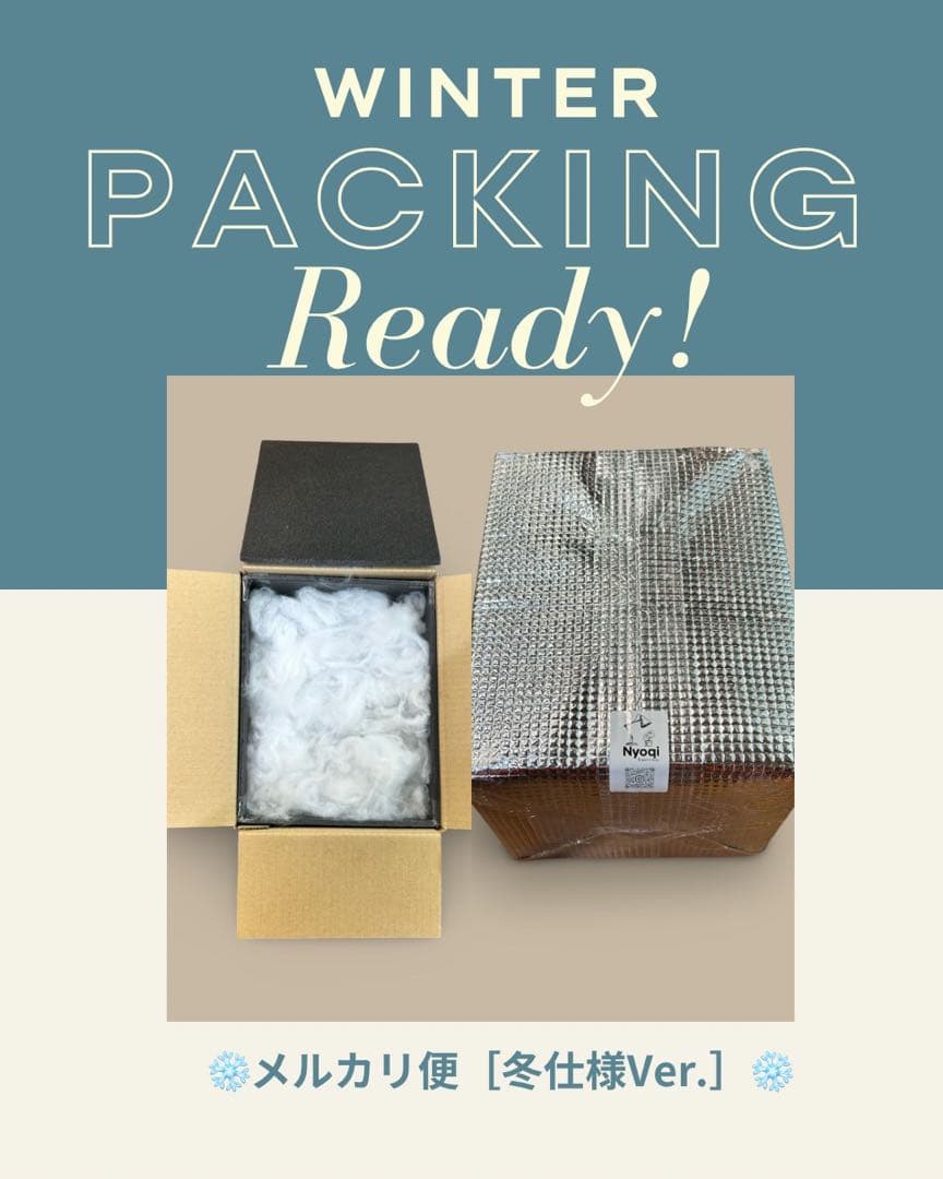 みかん　P. Willinckii Jenny #1 (TC)【36】速達