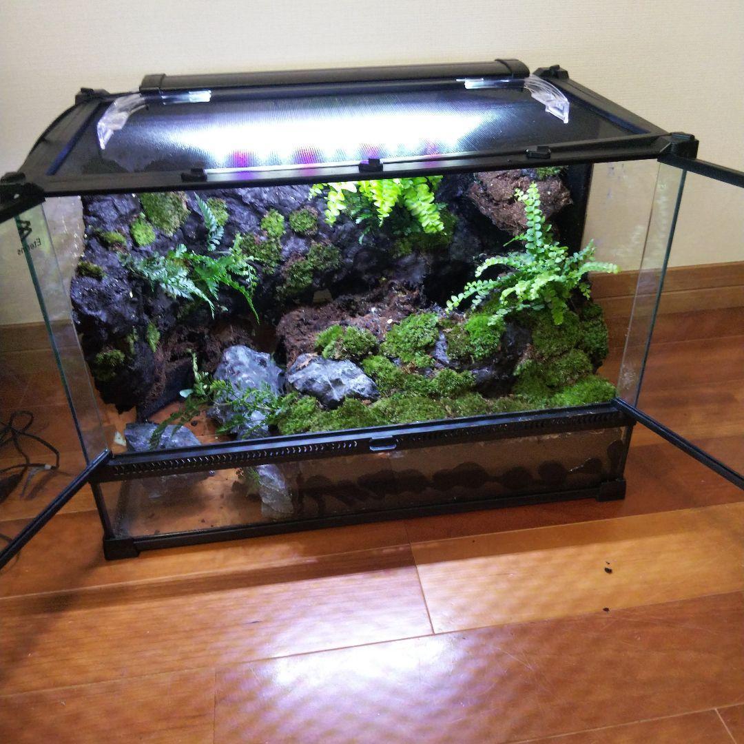 【受注生産】滝のあるアクアテラリウム　イモリウム　苔テラリウム　アクアテラリウム