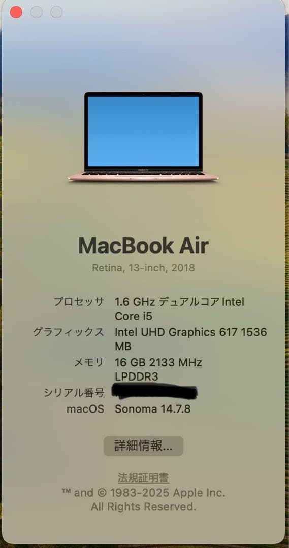 MacBook Air 2018 / 16GB / 512GB / US配列