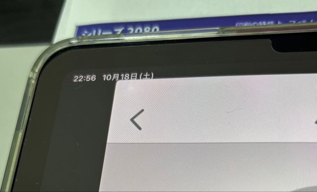 タ*シ様 Apple iPad Air シルバー