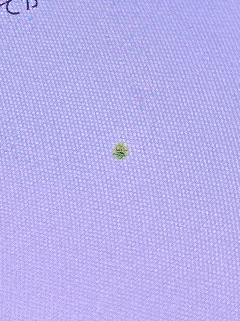 SAMSUNG Galaxy Z Flip3 限定色グリーン