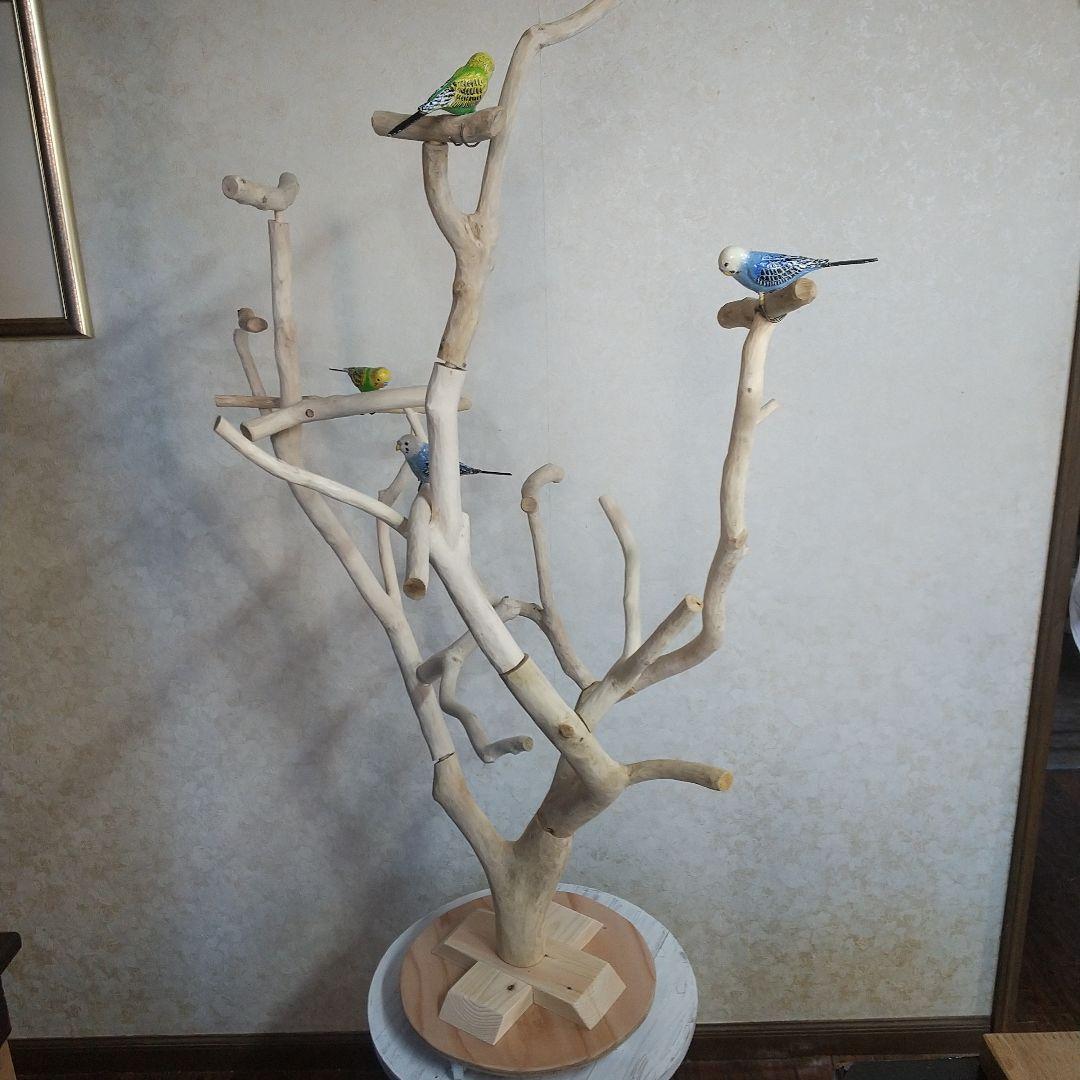 インコバードアスレチックジム楽園シリーズ④キャスター付