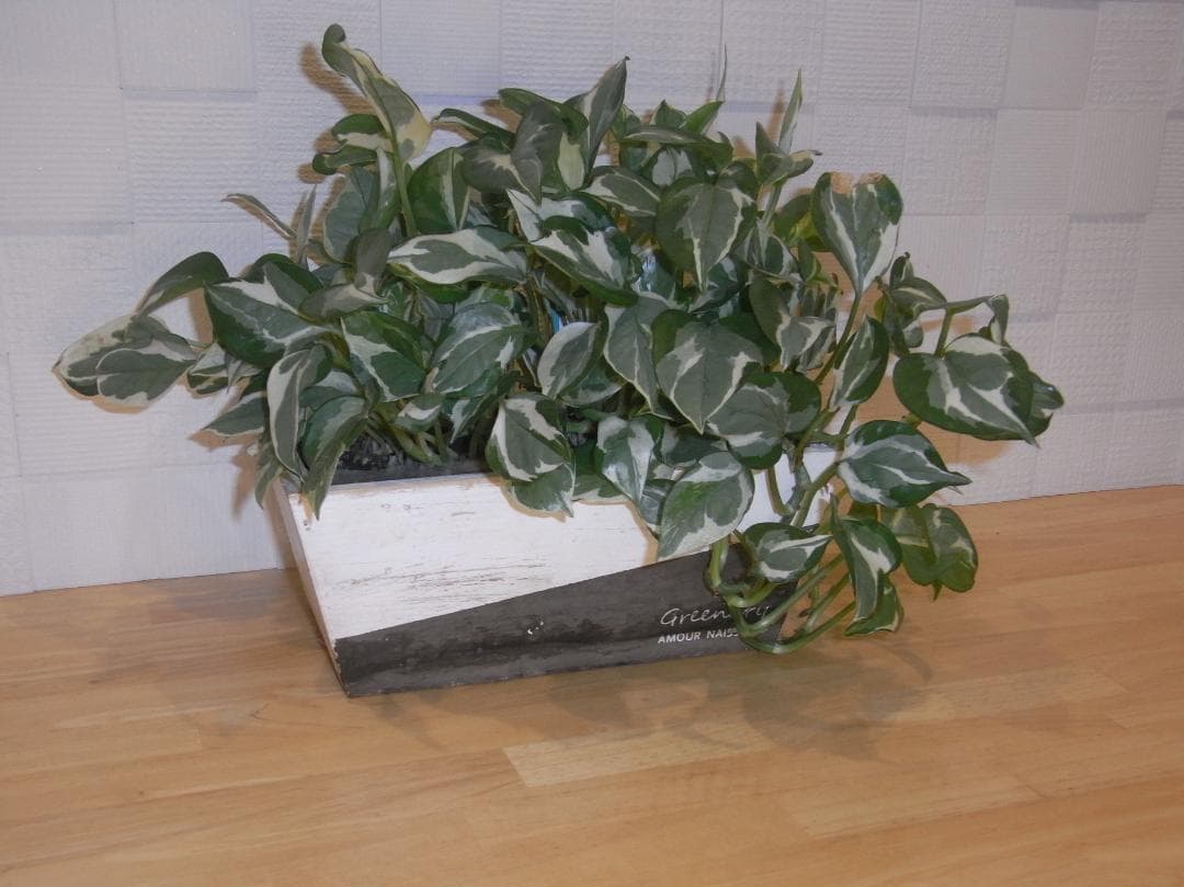 RICOH R10 / 純正充電器 ・ 純正バッテリー