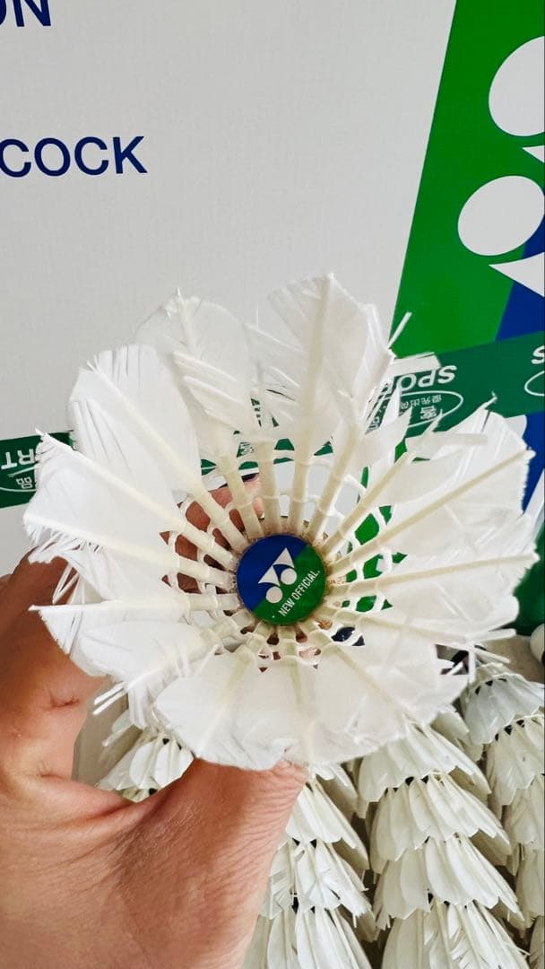 NEW OFFICIALバドミントンシャトル中古10本セット　ニューオフィシャル