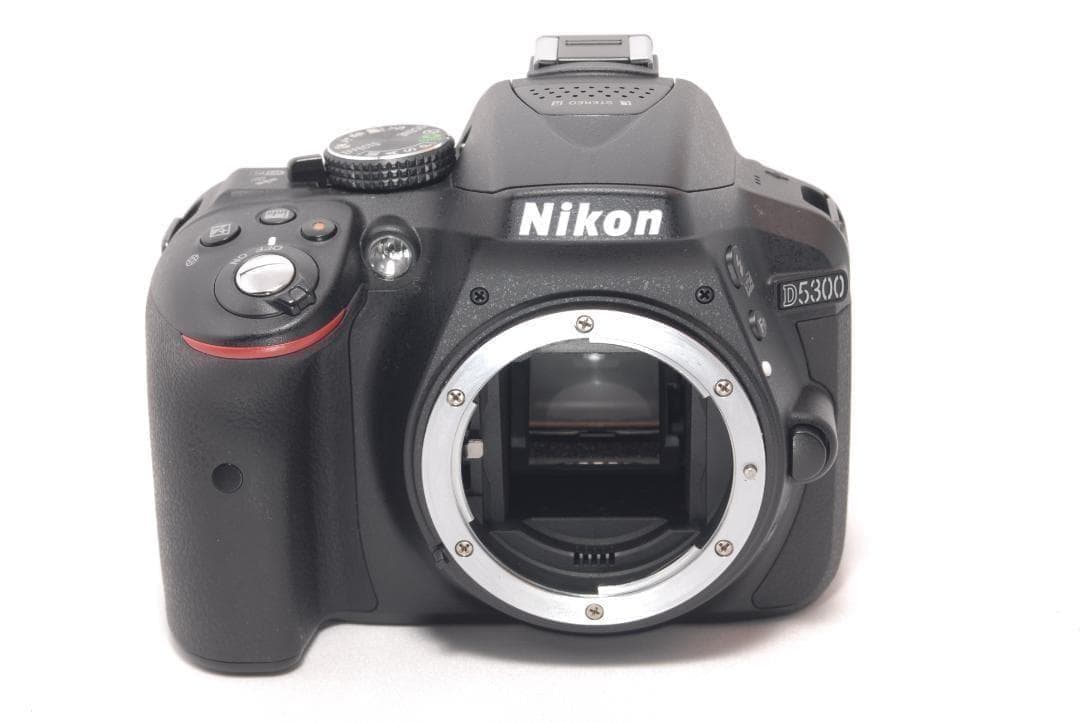 ⭐️Wi-Fi搭載＆手ぶれ補正⭐️Nikon D5300　ニコン　デジタル一眼
