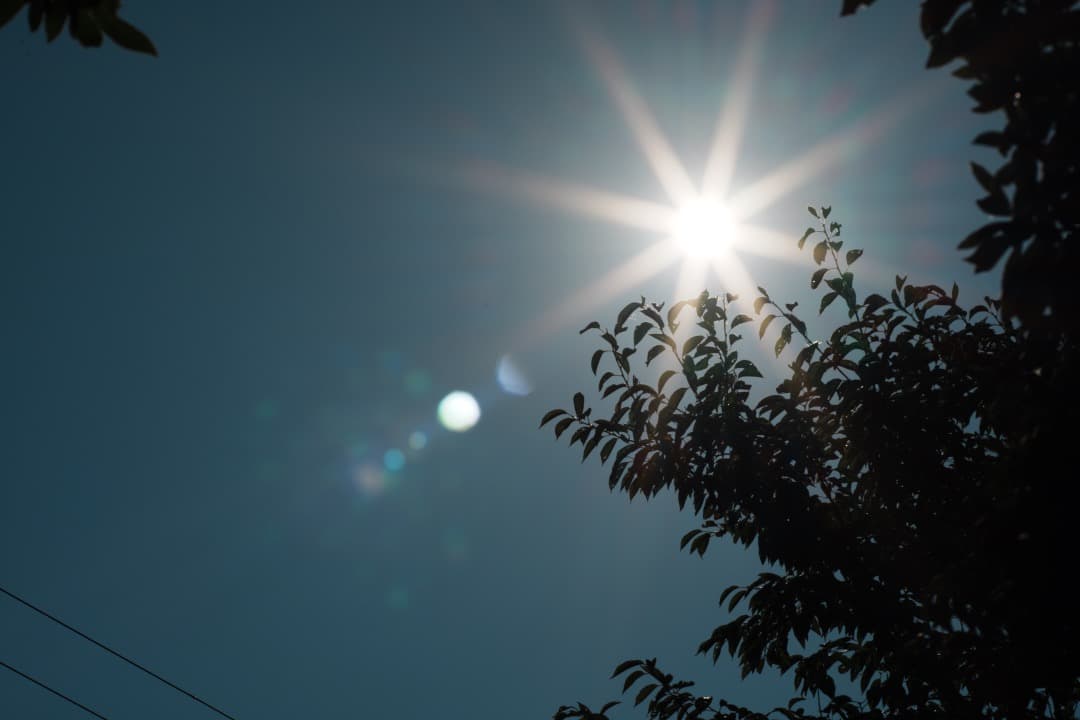 レンズ(単焦点) Amazing makro-Planar 100mm F2.8