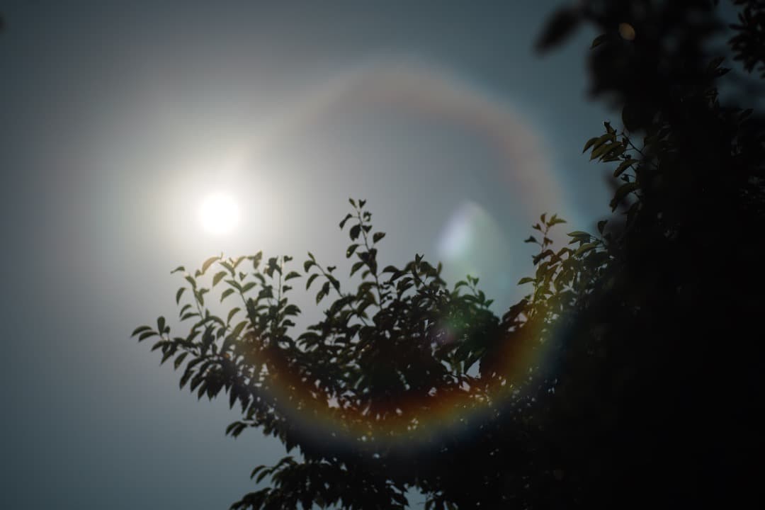 レンズ(単焦点) Amazing makro-Planar 100mm F2.8