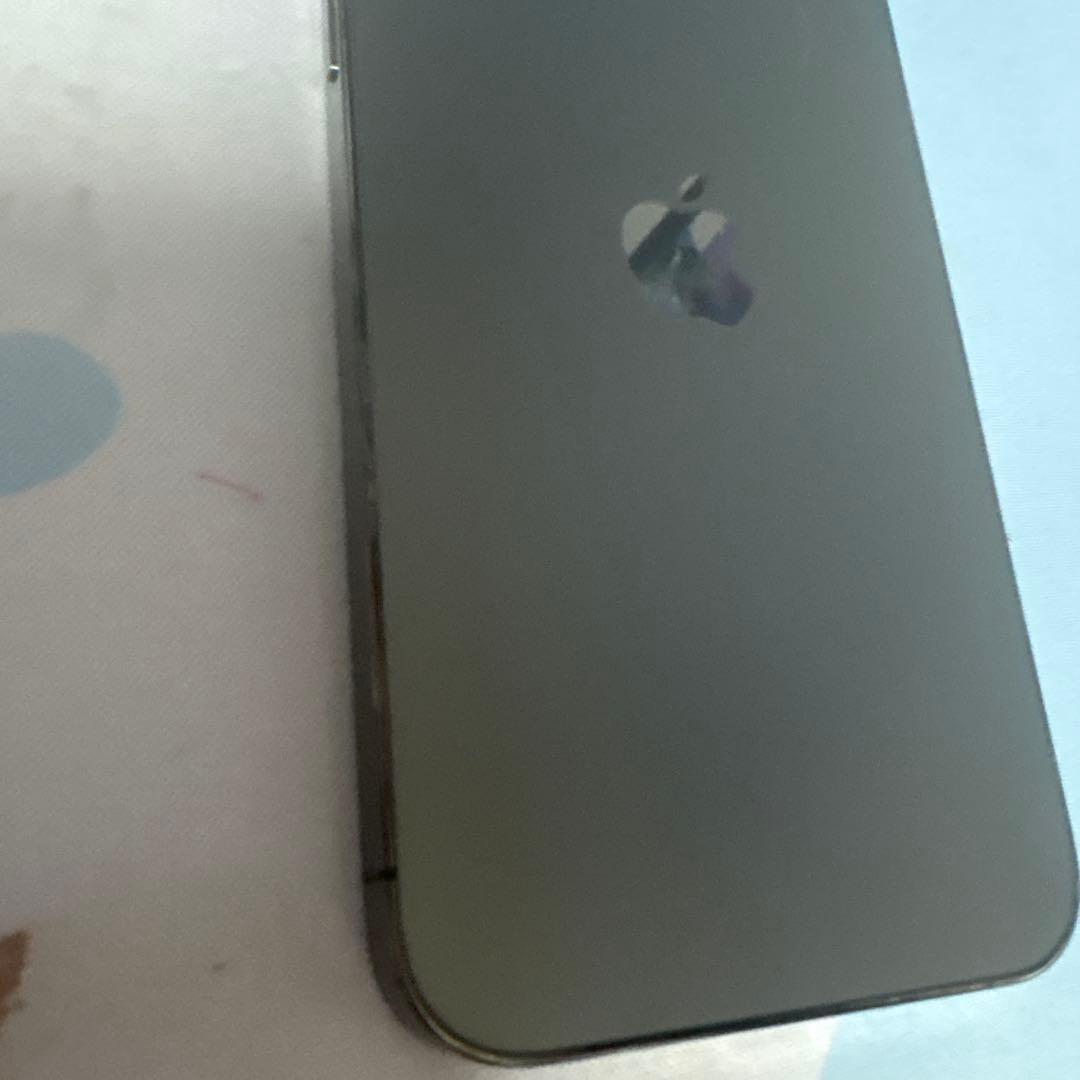 MEXApple iPhone 12 Pro グラファイト