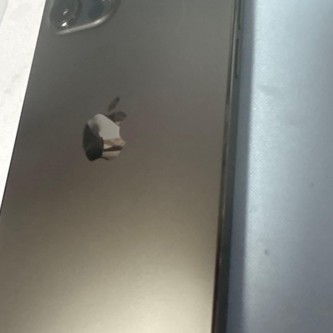 MEXApple iPhone 12 Pro グラファイト
