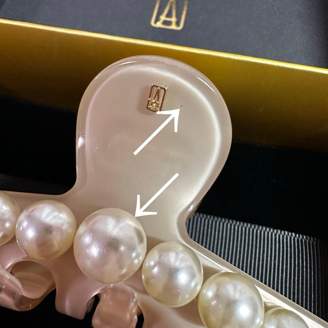ALEXANDRE DE PARIS ヘアクリップ　Lサイズ