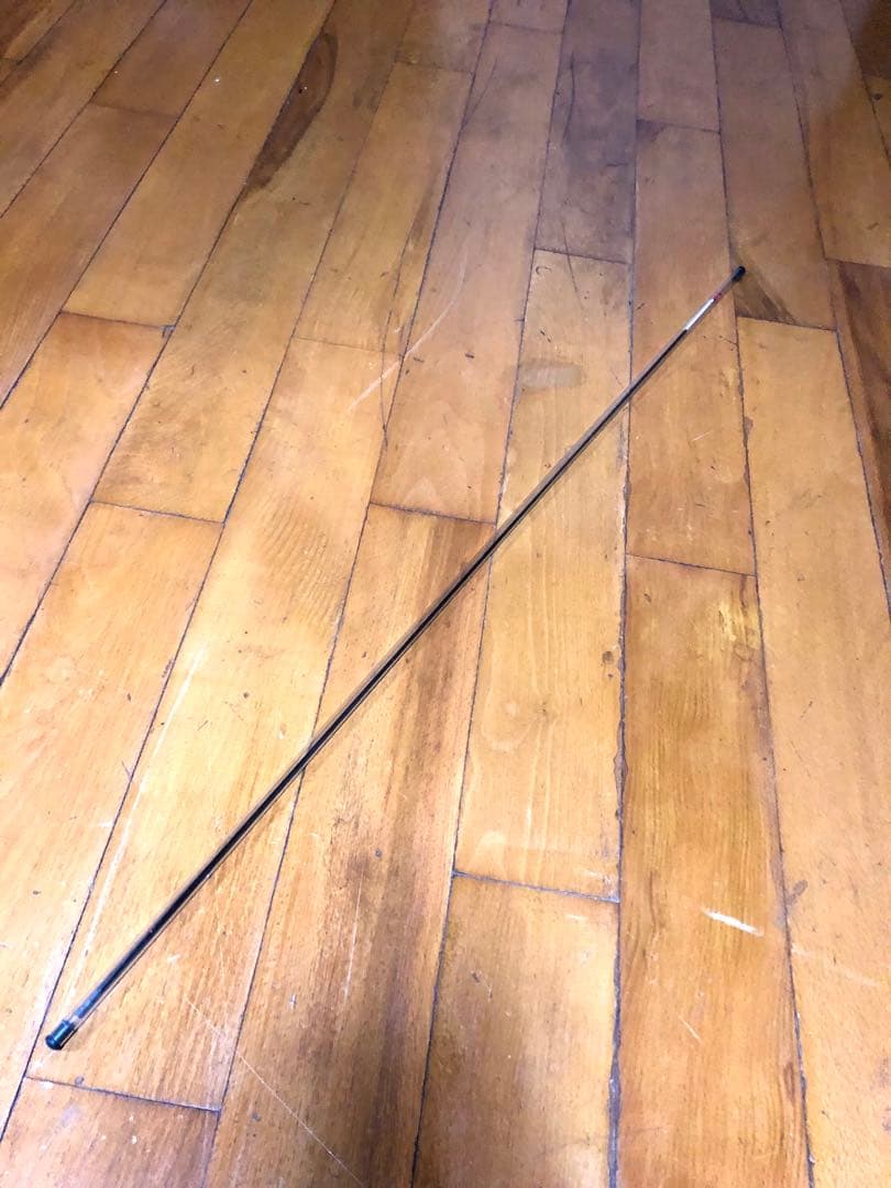 Daiwa ダイワ 鮎竿 銀影VIP 中硬硬 100 ロッド 釣竿