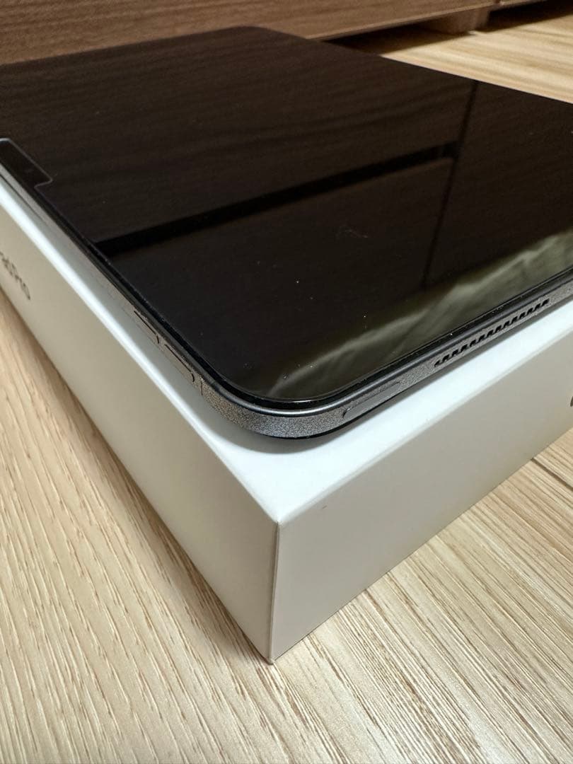 【… 】Apple 11インチiPad Pro（M4）256GB